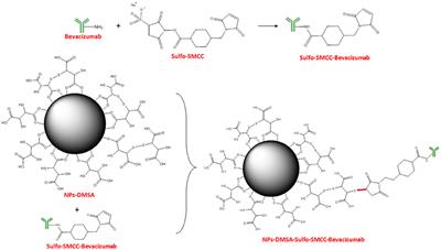 A Novel Metal-Based Imaging Probe for Targeted Dual-Modality SPECT/MR Imaging of Angiogenesis